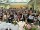 Abi_2013_b